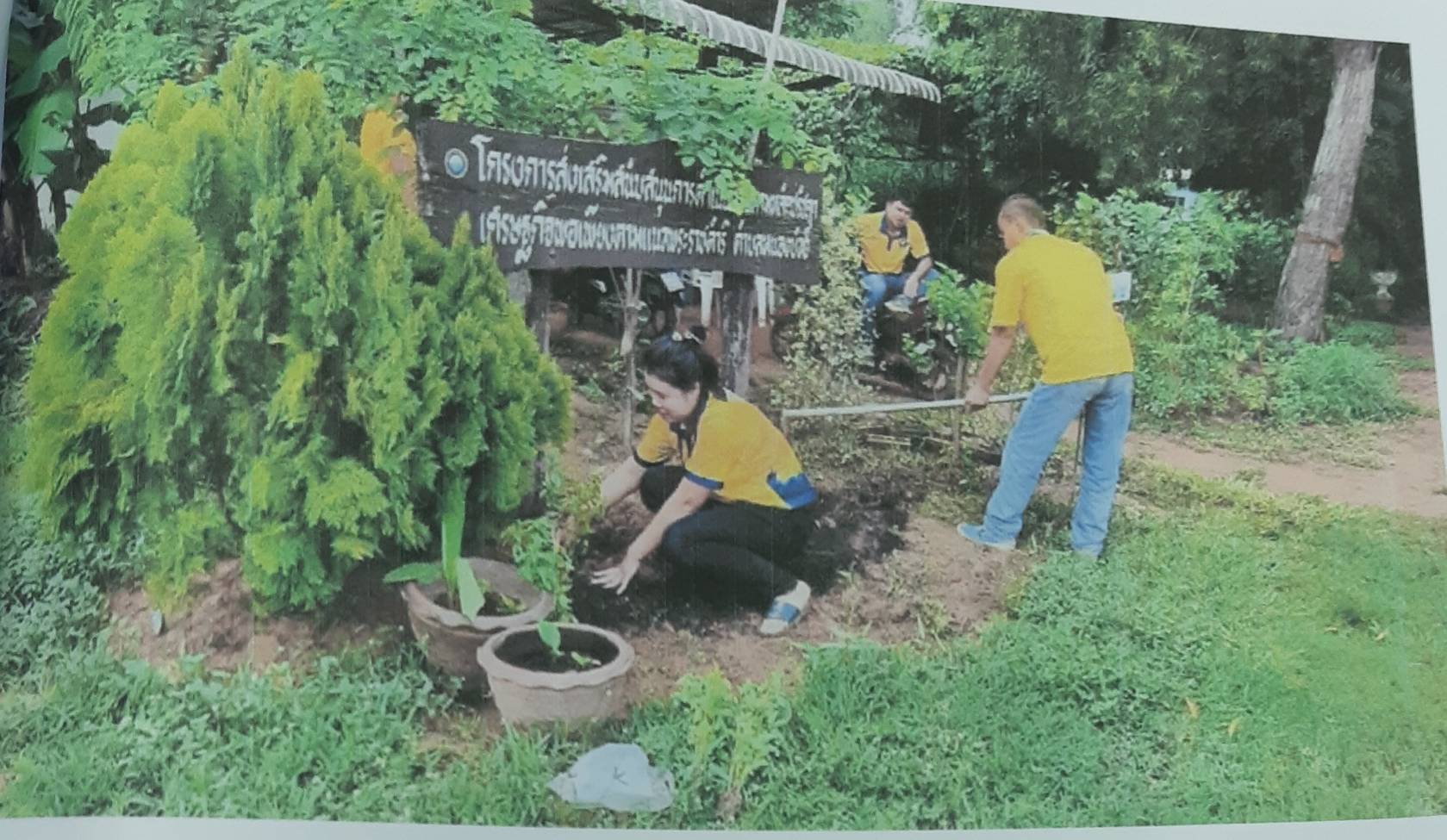 โครงการส่งเสริมสนับสนุนศูนย์การเรียนรู้เศรษฐกิจพอเพียงตำบลหนองบัวฮี องค์การบริหารส่วนตำบลหนองบัวฮี อำเภอพิบูลมังสาหาร จังหวัดอุบลราชธานี